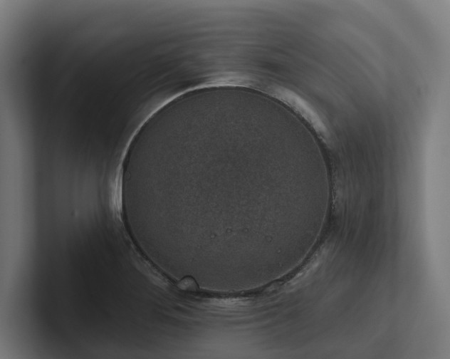 X0000102361276200808011445