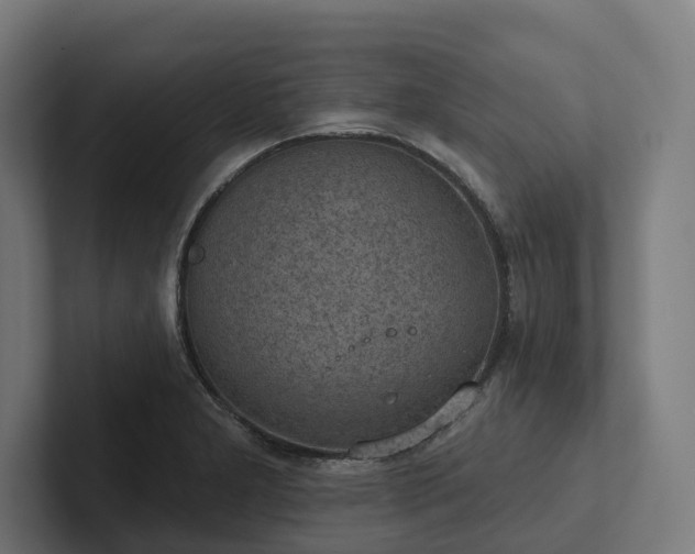 X0000102361277200808011445