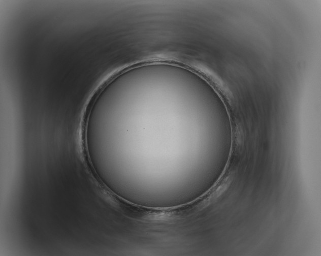 X0000102361278200808011445