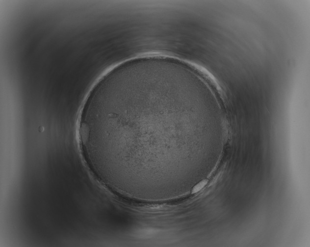 X0000102361279200808011445
