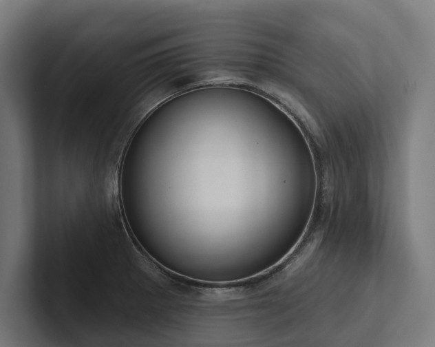 X0000102361281200808011445