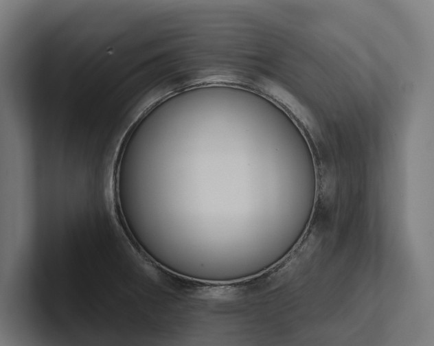 X0000102361282200808011445