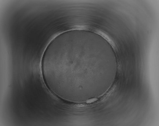 X0000102361283200808011445
