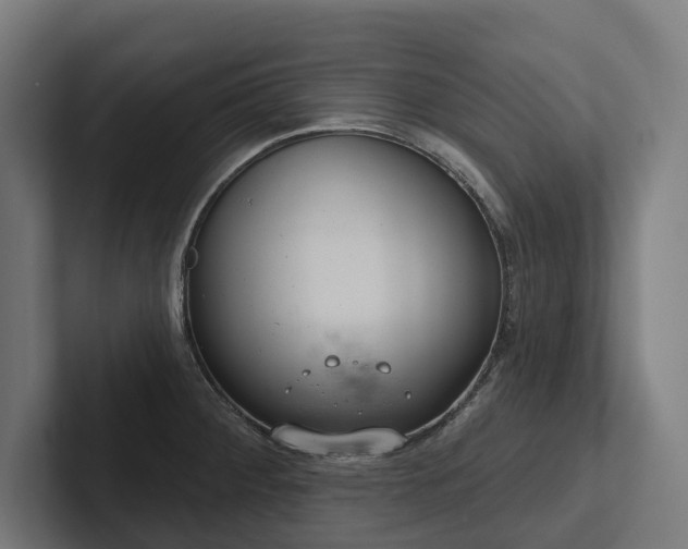 X0000102361284200808011445