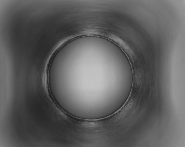 X0000102361286200808011445