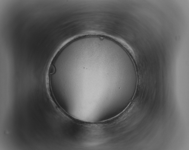 X0000102361287200808011445