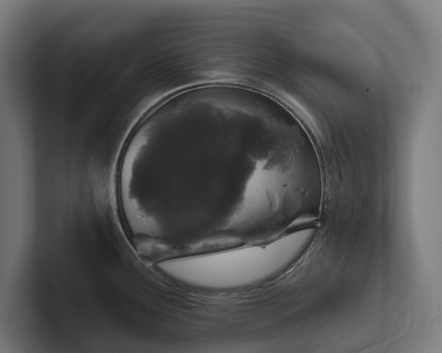 X0000102361291200808011445