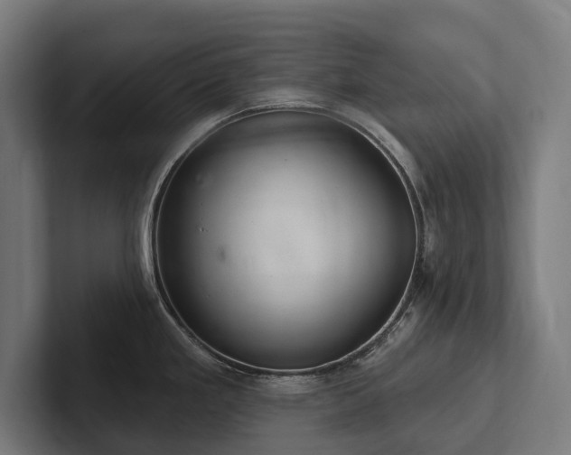 X0000102361293200808011445