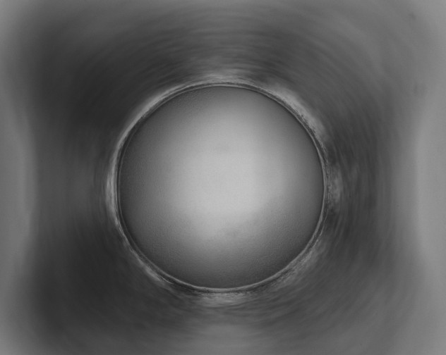 X0000102361294200808011445