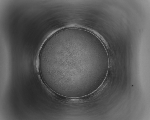 X0000102361295200808011445