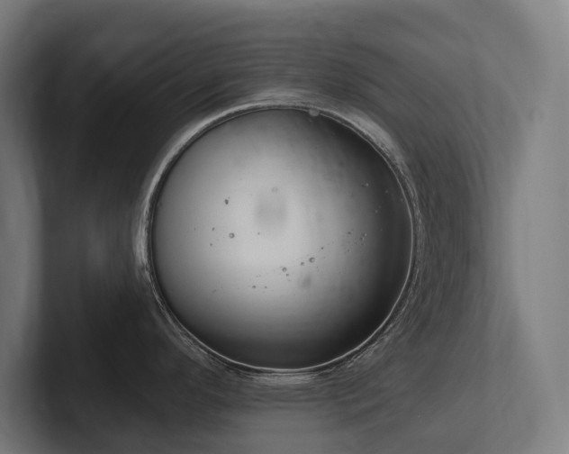X0000102361296200808011445