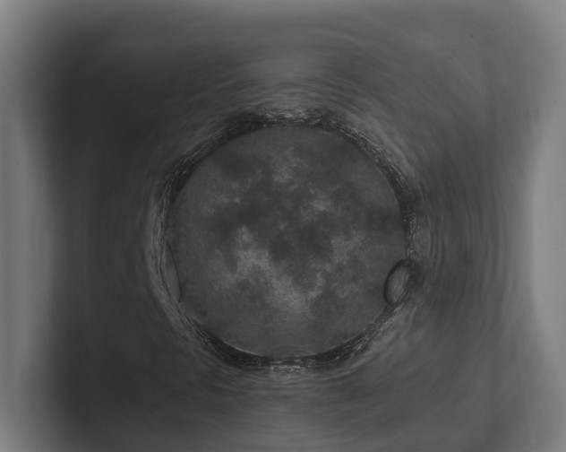 X0000102361297200808011444