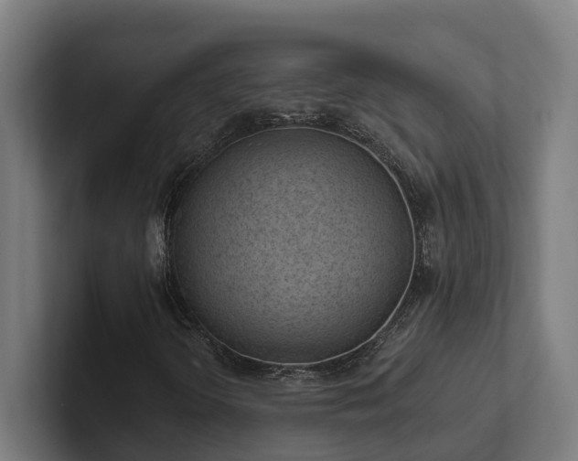 X0000102361298200808011444