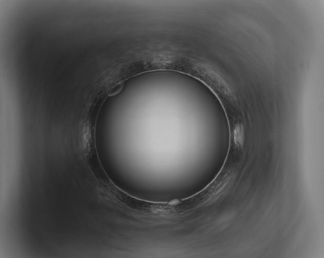 X0000102361299200808011444