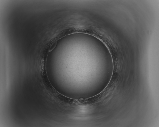 X0000102361301200808011444