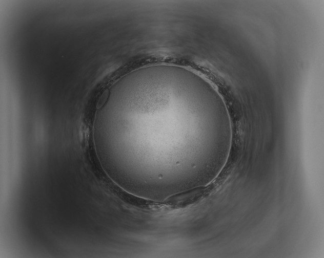 X0000102361302200808011444