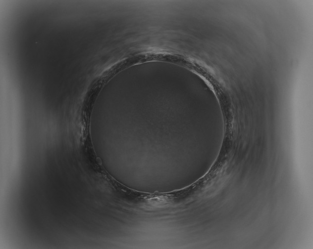 X0000102361303200808011444