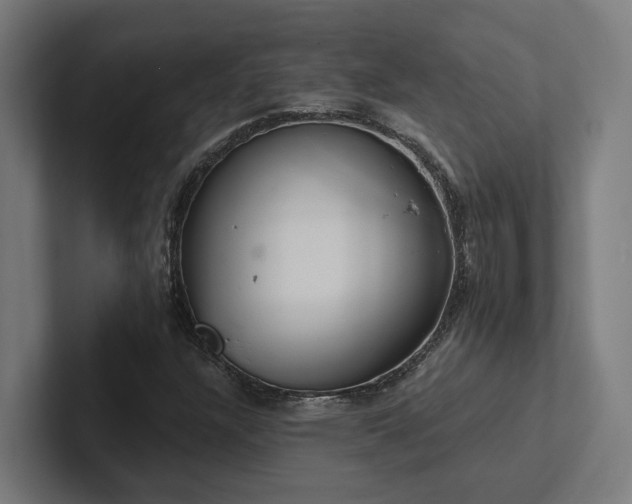 X0000102361304200808011444