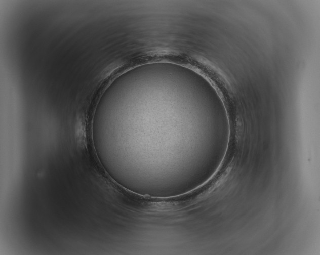 X0000102361305200808011444