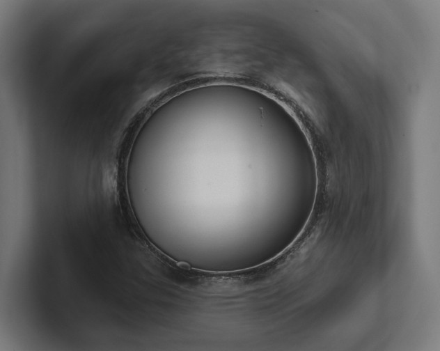 X0000102361307200808011444