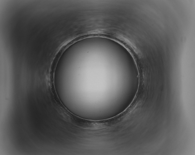 X0000102361308200808011444