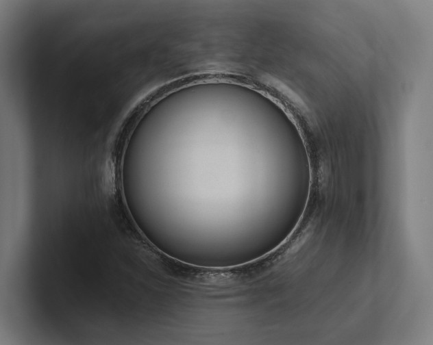 X0000102361310200808011444