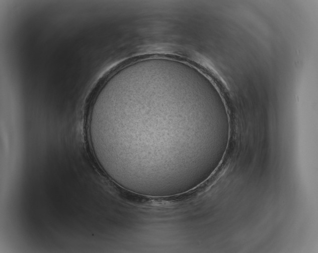 X0000102361312200808011444