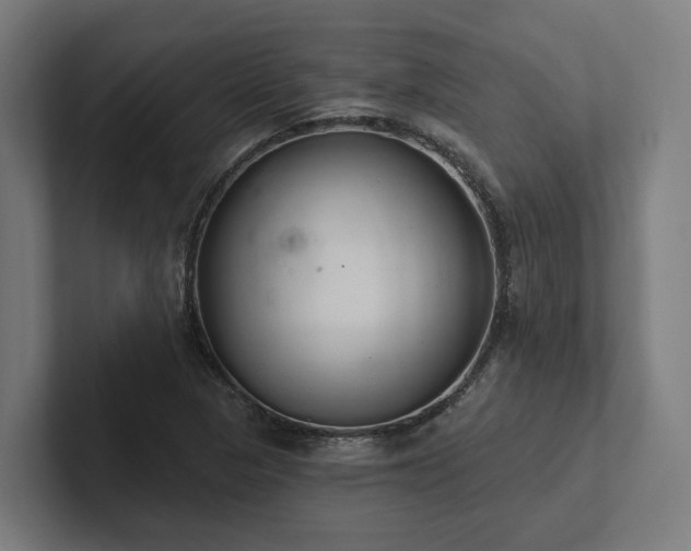 X0000102361313200808011444