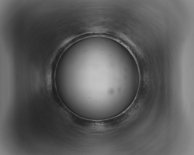 X0000102361315200808011444