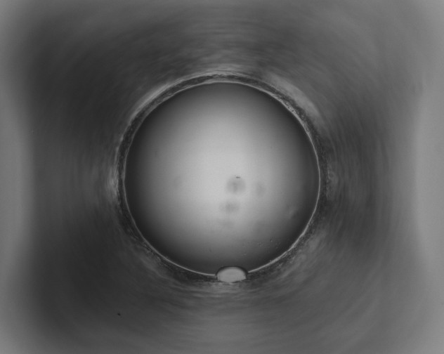 X0000102361316200808011444