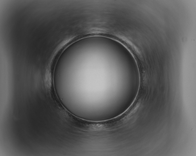 X0000102361317200808011444