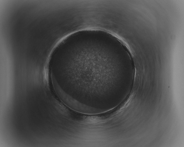 X0000102361319200808011444