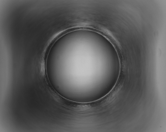 X0000102361320200808011444