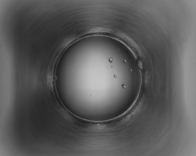 X0000102361321200808011444