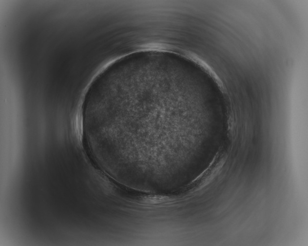 X0000102361323200808011444
