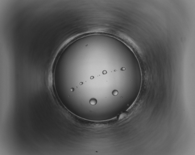 X0000102361324200808011444