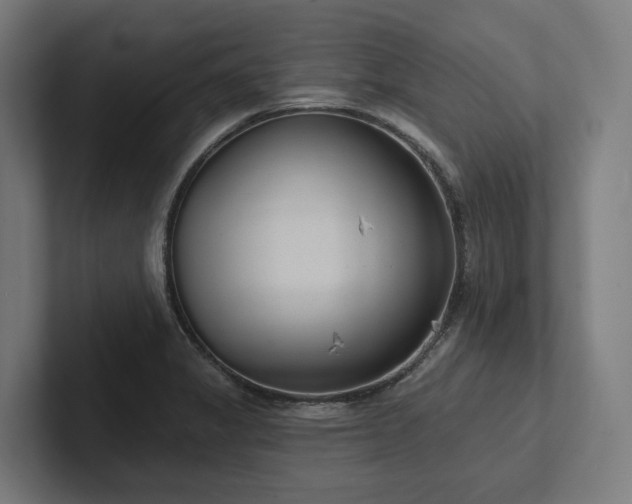 X0000102361325200808011444