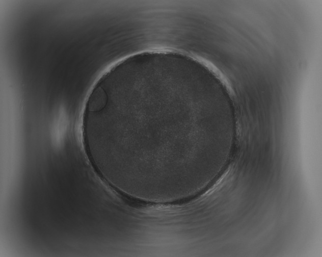X0000102361327200808011444
