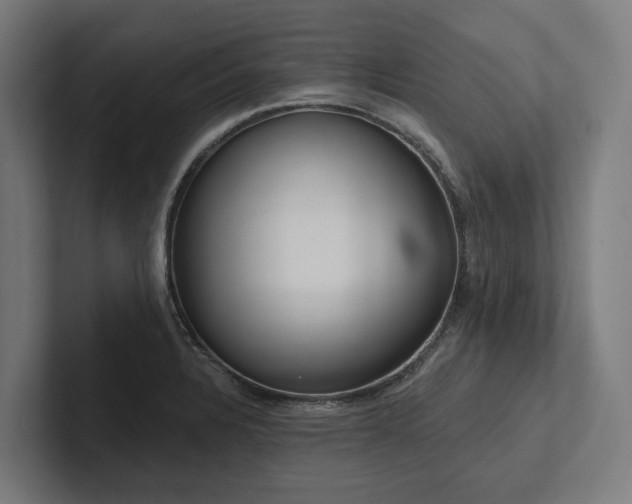 X0000102361328200808011444