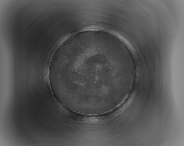 X0000102361329200808011444
