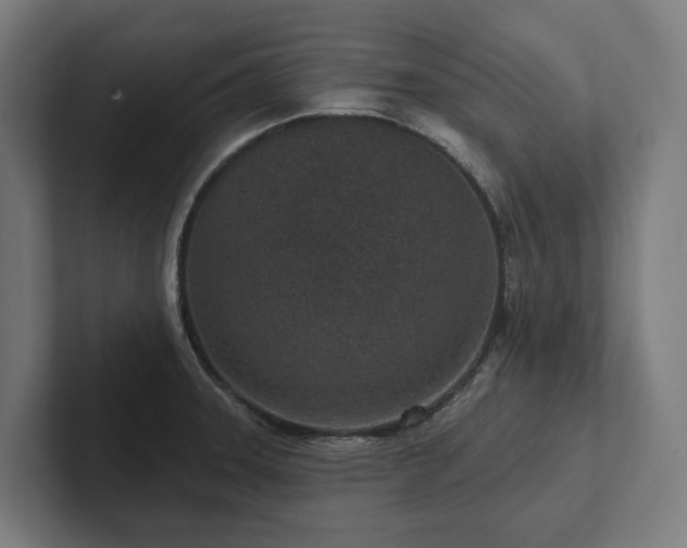 X0000102361331200808011444