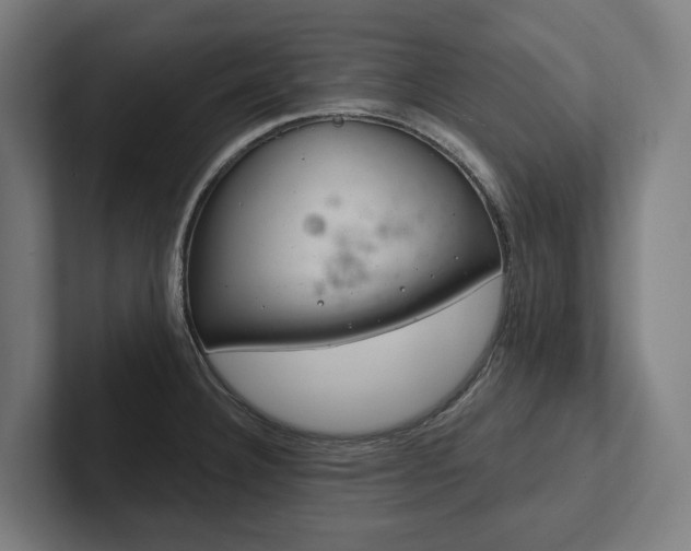 X0000102361332200808011444