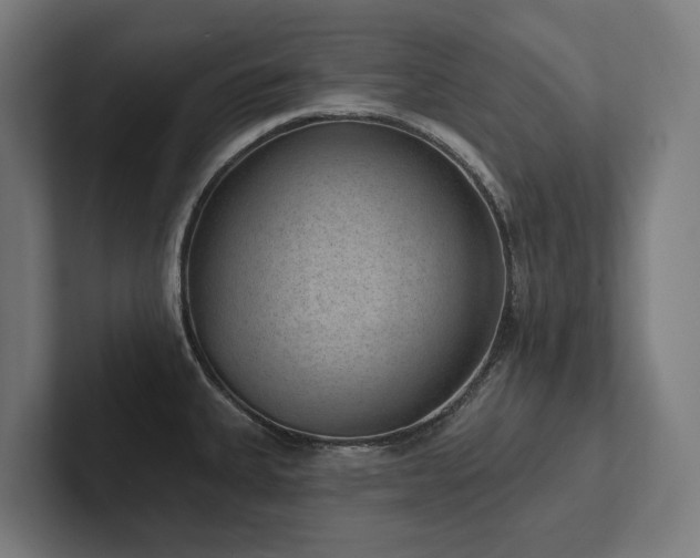 X0000102361335200808011444