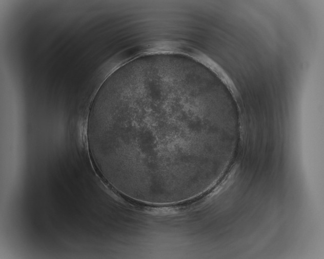 X0000102361337200808011444