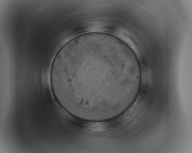 X0000102361338200808011444