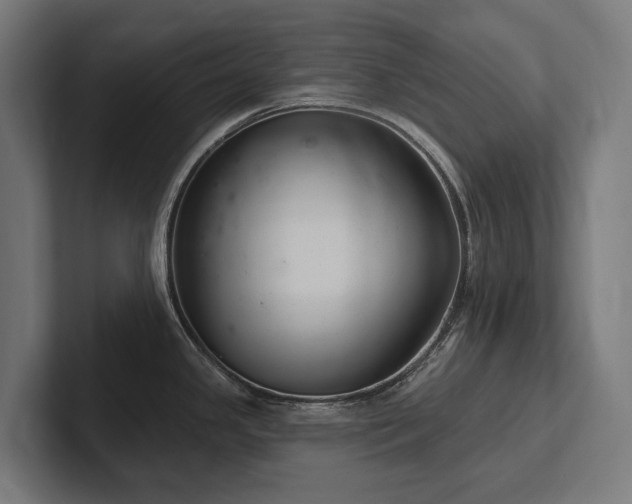 X0000102361341200808011445