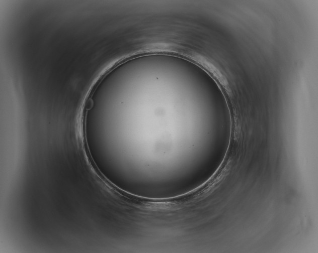X0000102361342200808011445