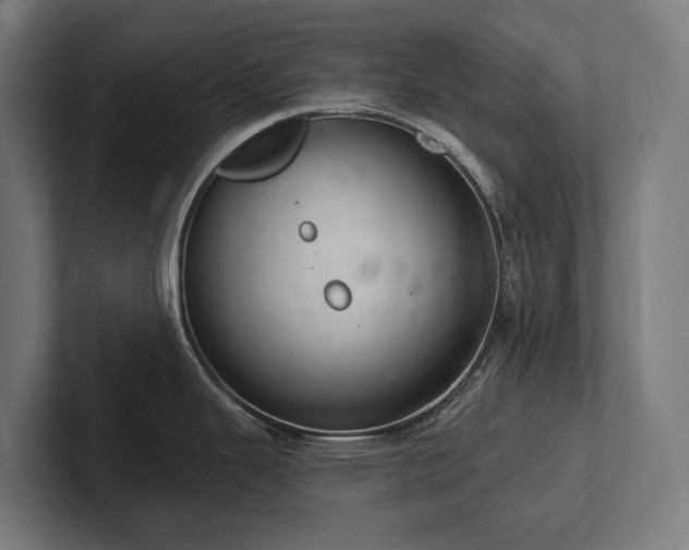 X0000102361343200808011445