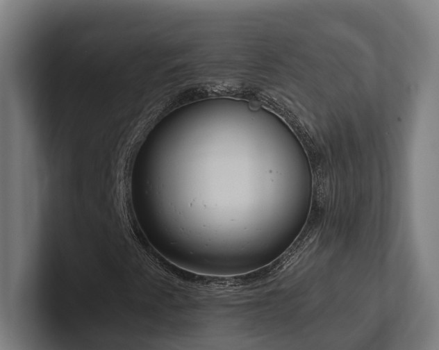 X0000102361345200808011444