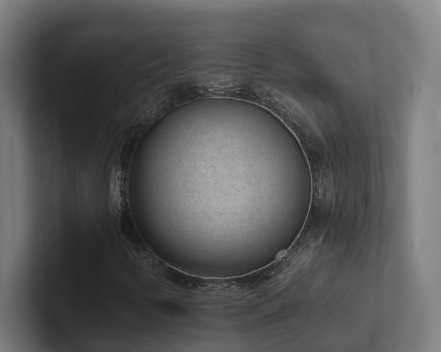 X0000102361346200808011444